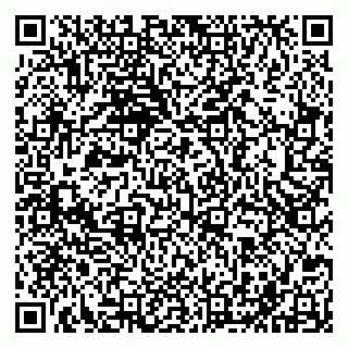 vCard 79201500315