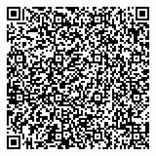 vCard 79201500317