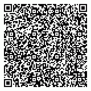 vCard 79201500327