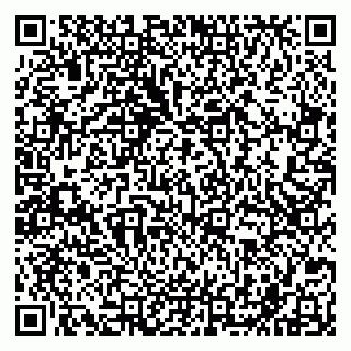 vCard 79201500328
