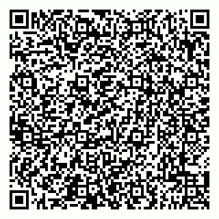 vCard 79201500329