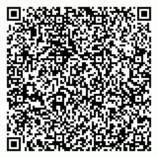 vCard 79201500333