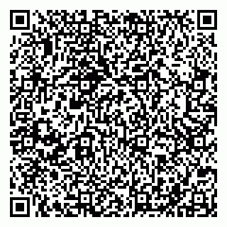 vCard 79201500335