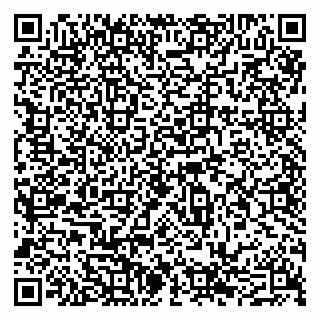 vCard 79201500379