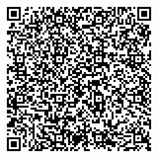 vCard 79201500385