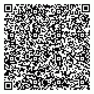 vCard 79201500389