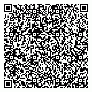 vCard 79201951039