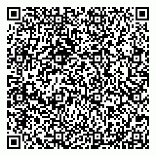 vCard 79201955203