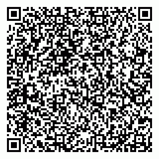 vCard 79201955380