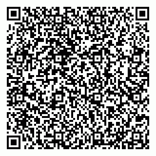vCard 79201955389