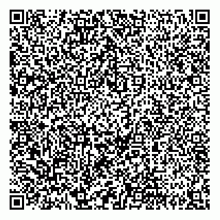 vCard 79202400129