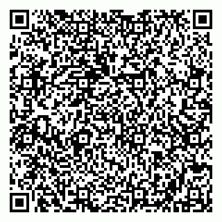 vCard 79202400132