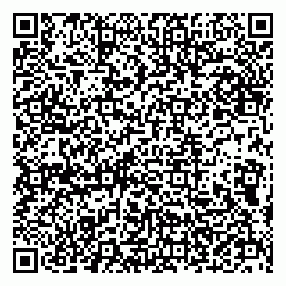 vCard 79202400138