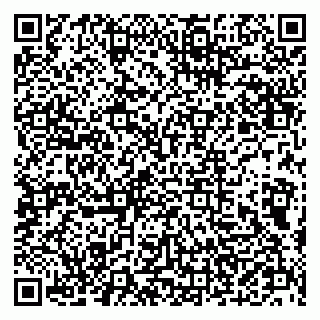 vCard 79202400271