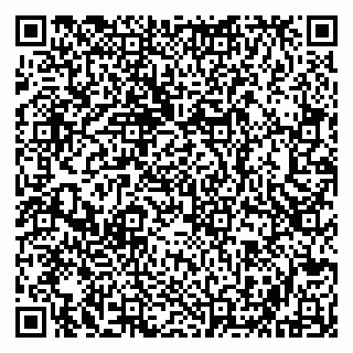 vCard 79202400295