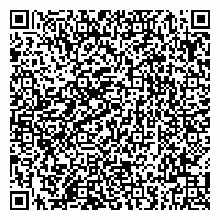 vCard 79202400317