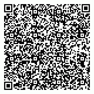vCard 79202400319