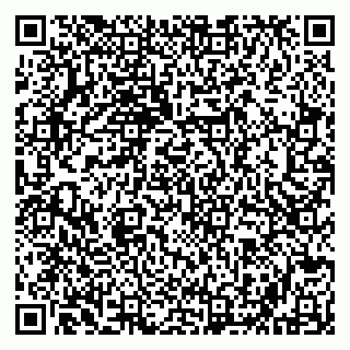 vCard 79202400325