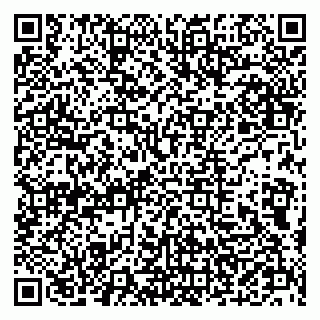 vCard 79202400333