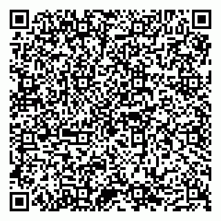 vCard 79202400335