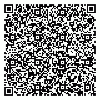 vCard 79202600021
