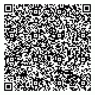 vCard 79202600029