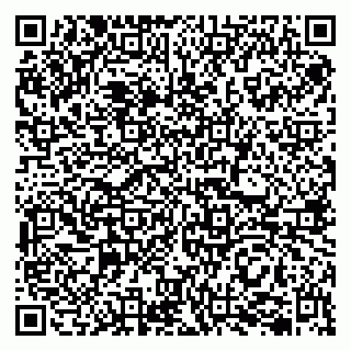 vCard 79202600035