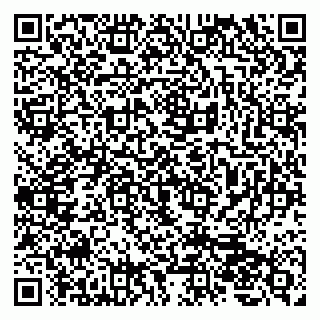 vCard 79202600041