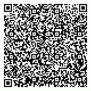 vCard 79202600053