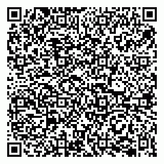 vCard 79202600129
