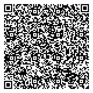vCard 79202600131