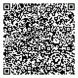 vCard 79202600132