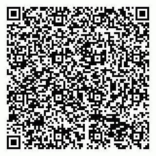vCard 79202600133