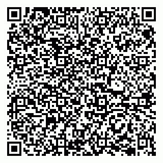 vCard 79202600333