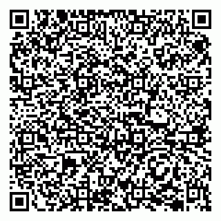 vCard 79202600334