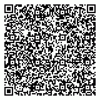 vCard 79202810293