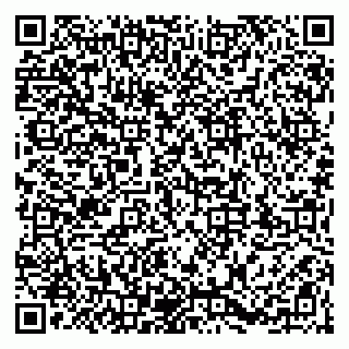 vCard 79203745028