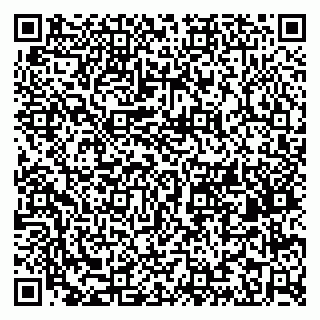 vCard 79203745104