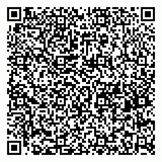 vCard 79203745114