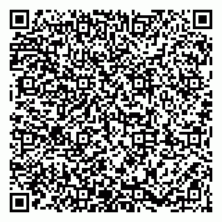 vCard 79203746533