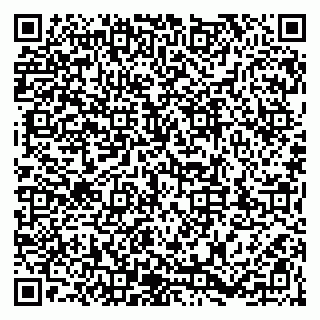 vCard 79203746639