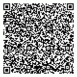 vCard 79203746733