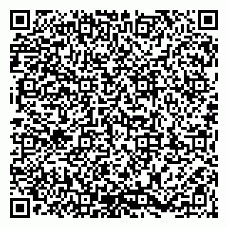 vCard 79203746739