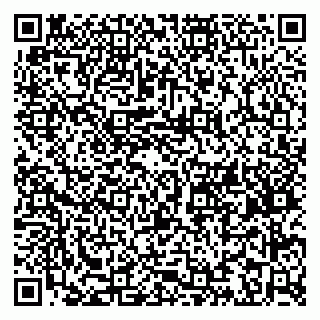 vCard 79203746785