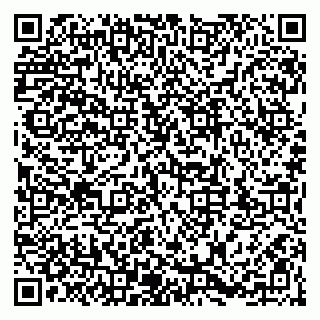 vCard 79203747225