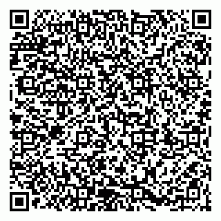 vCard 79203747229
