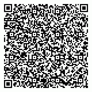 vCard 79203747239