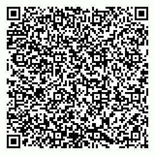 vCard 79203747281