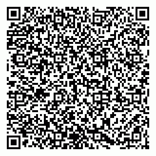 vCard 79203747282