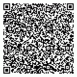 vCard 79203747284